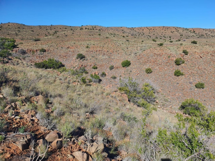 0 Bedroom Property for Sale in Carnarvon Rural Northern Cape